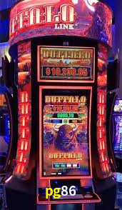 Premium Interface pg86